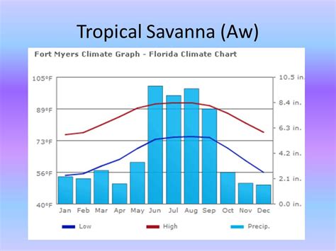 African Savanna Climate Chart: A Visual Reference of Charts | Chart Master