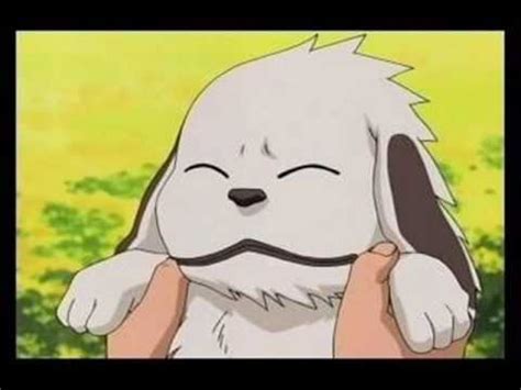 cute pics of akamaru - YouTube