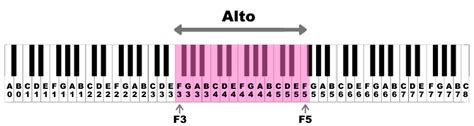 The 8 Voice Types Explained (with Examples)