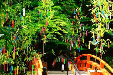 Tanabata Tree