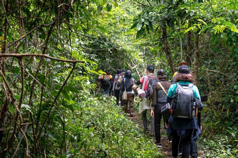 Chikmagalur Homestays – The Perfect Base For A Trekking Adventure ...