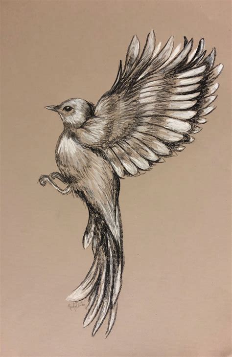 Bird Flying Drawing