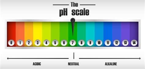 Ph Scale With Pictures