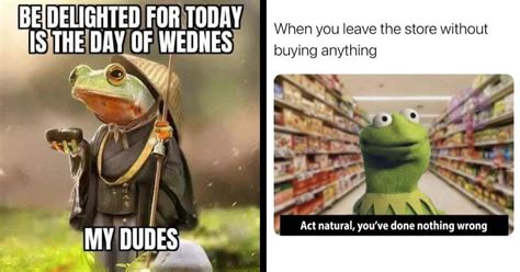 30+ Frog Memes Because It's Wednesday, My Dudes - Memebase - Funny Memes