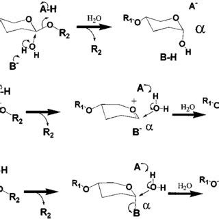 Three catalytic mechanisms of the glycosidases. a, the mechanism of ...