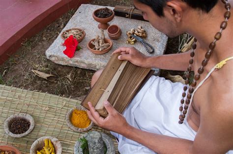 Modern Science Backs Up Ancient Knowledge Of Ayurveda - Behind the Bench