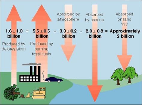 Deforestation Effects On Global Warming