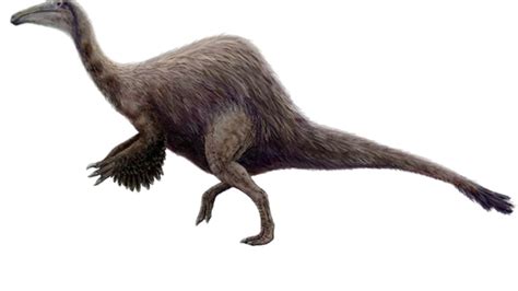 10 Handy Facts About Deinocheirus | Mental Floss