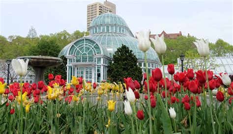 The Brooklyn Botanic Garden Has Announced An August Reopening Date