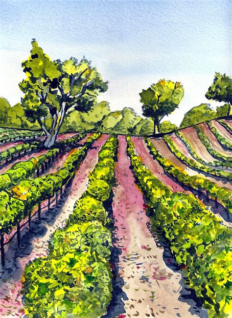 Terry's Ink and Watercolor: grapes