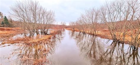 Premium Photo | Lake and river in the cold weather with snow