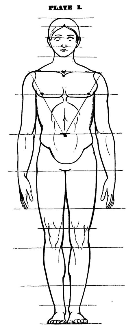 Drawing the Human Head , Face, and Body in the Correct Proportions ...