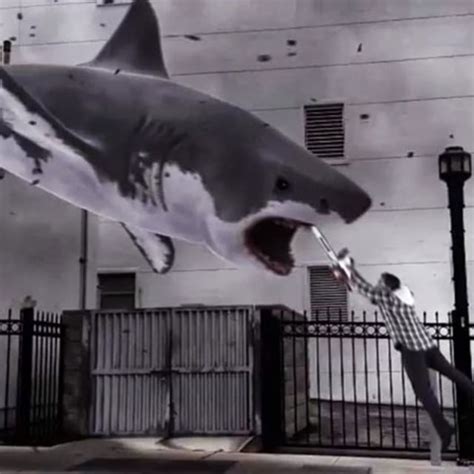 Jaws: The Revenge - Greatest Movie Shark Attack Scenes | Complex