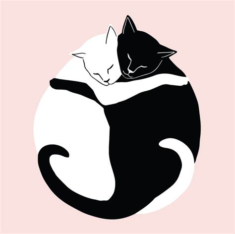 Black and White illustration, pink background, two cats hugging. A2 ...