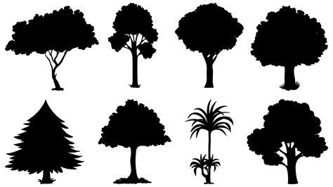 Black Tree Silhouettes Vector Art, Icons, and Graphics for Free Download