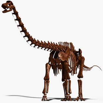 Useful Notes / Prehistoric Life - Sauropods - TV Tropes