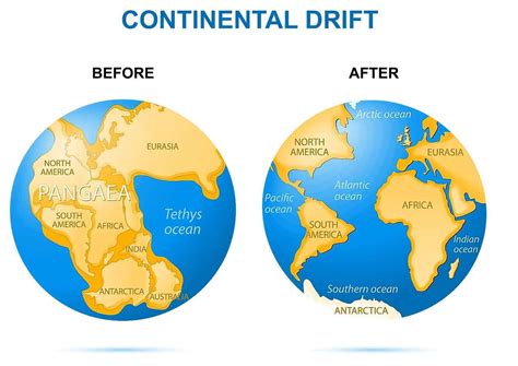 PANGEA CONTINENTAL DRIFT - Puzzle Factory