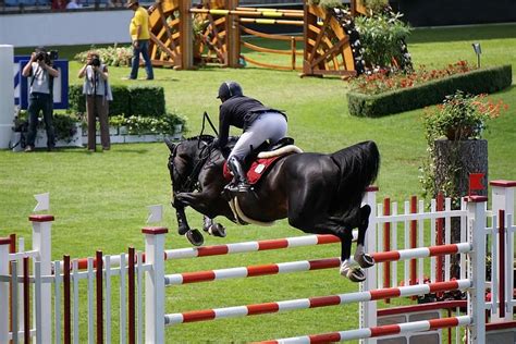 jockey, riding, black, horse, jumping, course, chio, aachen, equestrian ...