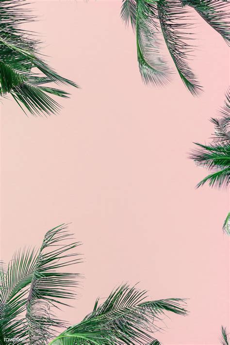 Pink Palm Tree Wallpaper | cuteconservative