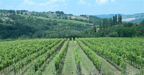 The 5 Best Wine Tours From Florence - [2020 Reviews] | Outside Pursuits