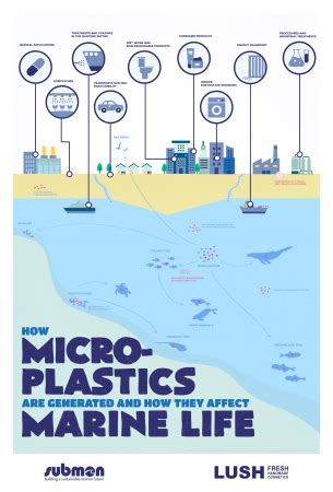 Infographic: How are microplastics generated and how do they affect ...