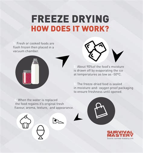 How To Freeze Dry Food At Home - From Desk Jockey To Survival Junkie