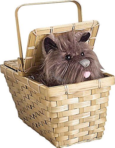 Toto Dog Costumes | Best Toto Dog Costumes 2019