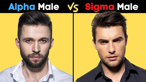 Sigma Male Vs Alpha Male - The Differences - YouTube