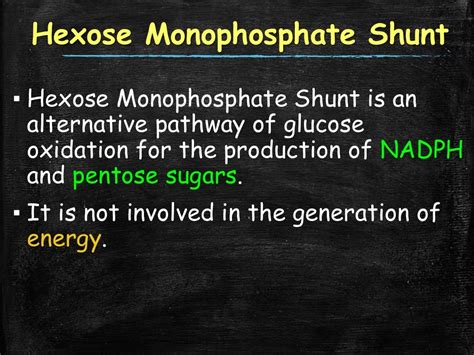 Hexose Monophosphate Shunt