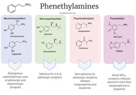 Foundation to Psychedelic Pharmacology