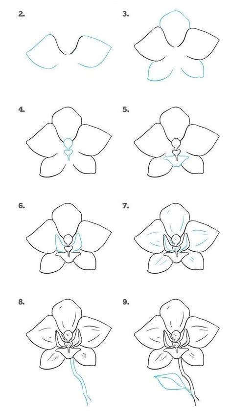 how-to-draw-a-flower-step-by-step-diy-tutorial-easy-pictures-to-draw ...