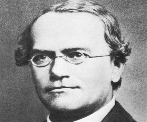 Gregor Mendel Biography - Childhood, Life Achievements & Timeline