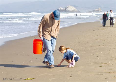 Where, When and How to Participate in This Weekend's Annual Beach ...