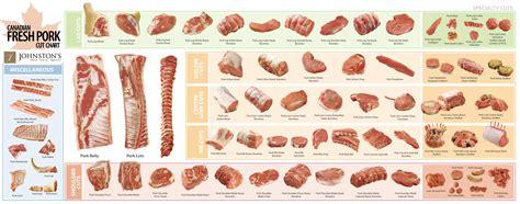 Printable Pork Cuts Chart - Printable Word Searches