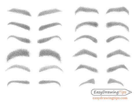 How to Draw Eyebrows Step by Step - EasyDrawingTips