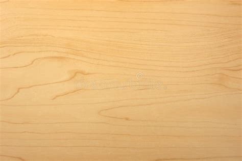 Maple wood grain texture stock photo. Image of grained - 3401804