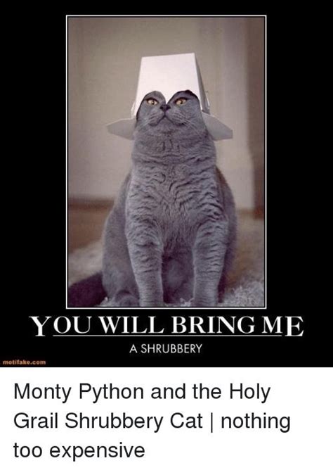 Find the newest Monty Python And The Holy Grail Shrubbery meme. The ...