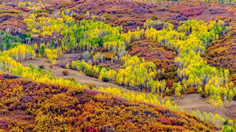 Colorado Fall Colors 2018 - San Juan Mountains and West Elk Mountains ...