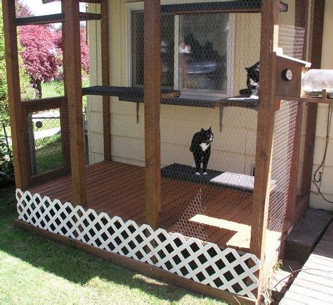 Example of a cat pen. Does not link to anything. Outside Cat Enclosure ...