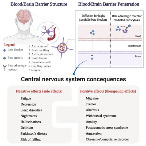 Medicina | Free Full-Text | Neuropsychiatric Consequences of Lipophilic ...