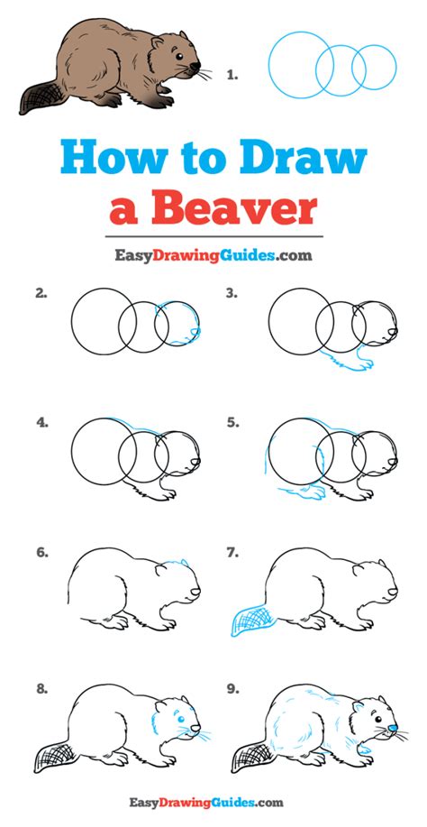 How to Draw a Beaver - Really Easy Drawing Tutorial in 2020 (mit ...