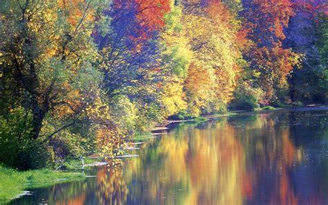 Free photo: River autumn reflections - Autumn, Sunny, Reflection - Free ...