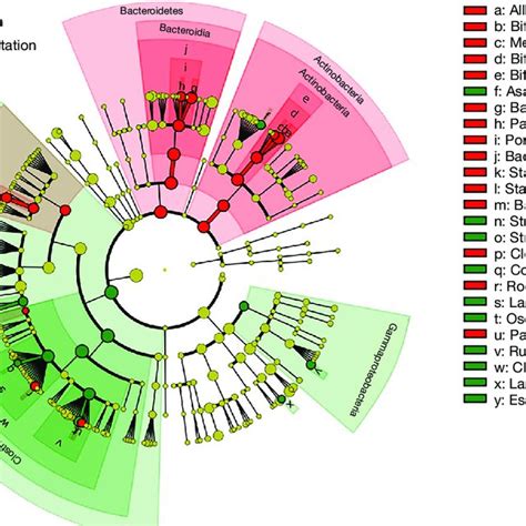 KRAS gene mutation in 177 colorectal cancer patients | Download ...