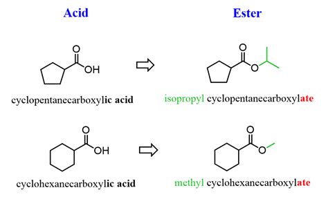 Ester Examples