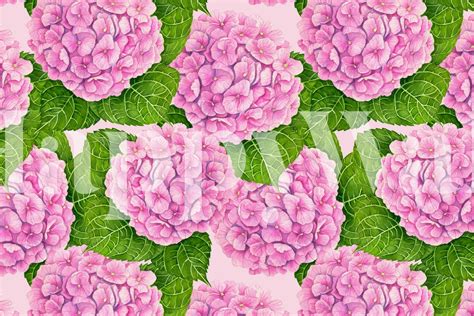 Hydrangea watercolor wallpaper | Happywall