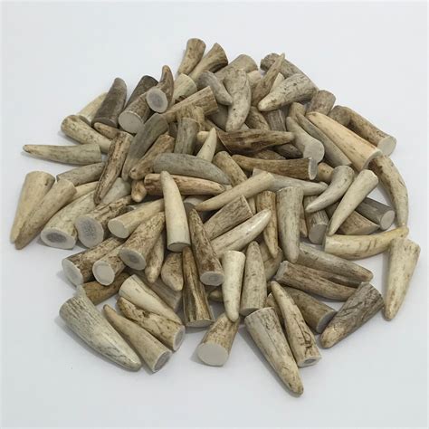 100 Ct Elk Antler Tips 3/4-2 1 & 2 Antlers - Etsy