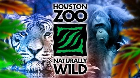 Houston Zoo experiences Labor Day power outage