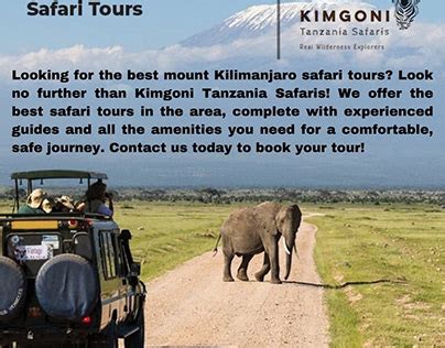 Kilimanjaro Safari Projects :: Photos, videos, logos, illustrations and ...