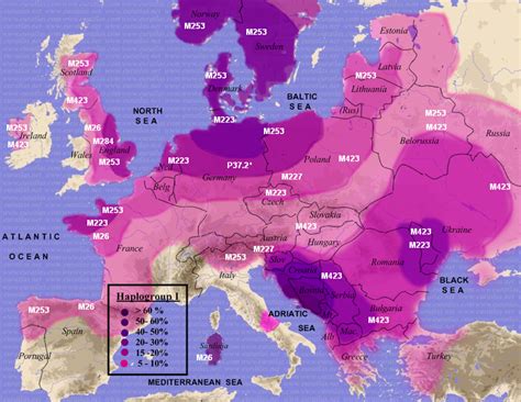 Hg I1: Lineages and Results of Y-DNA Testing of Surname ELY and Variants