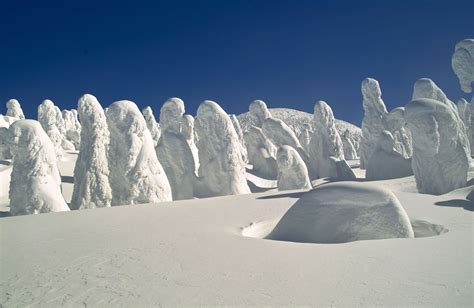 Juhyo: The Snow Monsters on Japan’s Mount Zao in 2020 | Snow monster ...